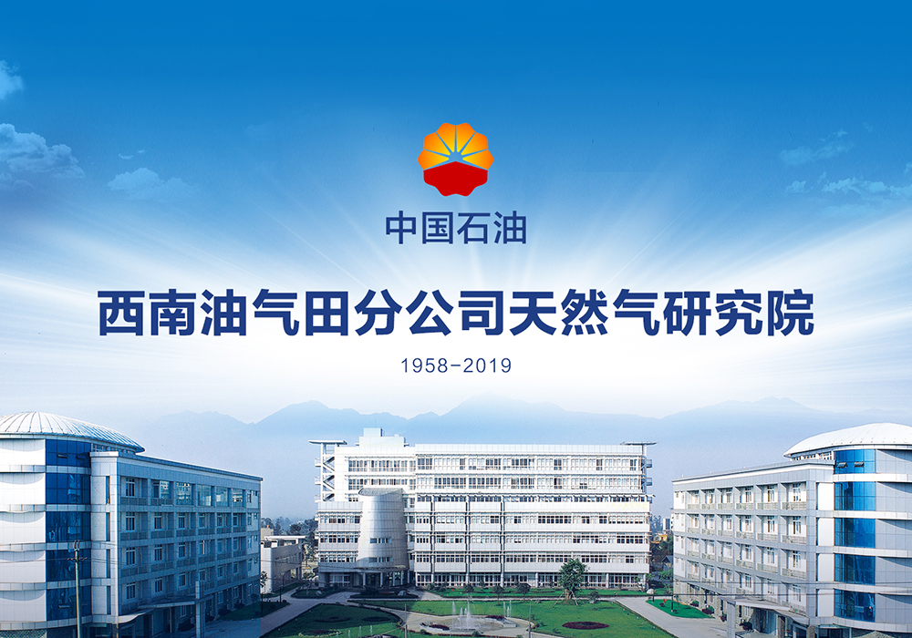 中国石油西南油气田分公司天然气研究院项目案例